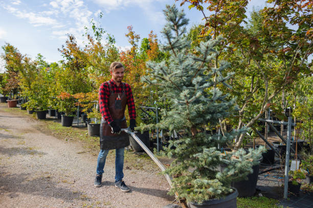 Best Arborist Services Near Me  in State College, PA